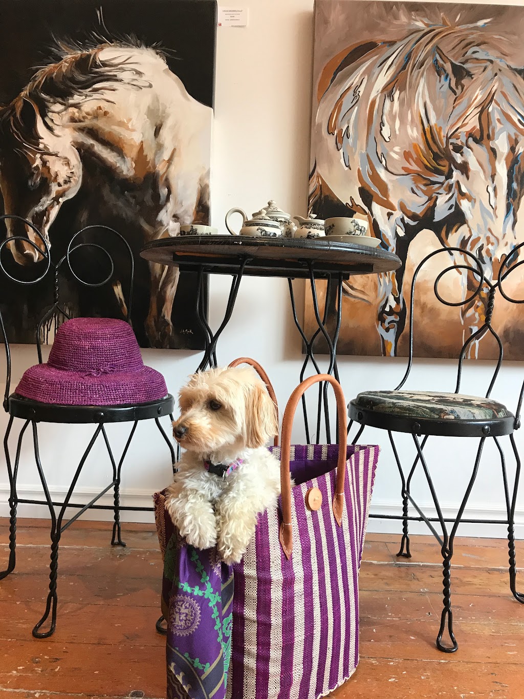 Red Scarf Equestrian Inc | 19100 Centre St, Mount Albert, ON L0G 1M0, Canada | Phone: (647) 224-0990