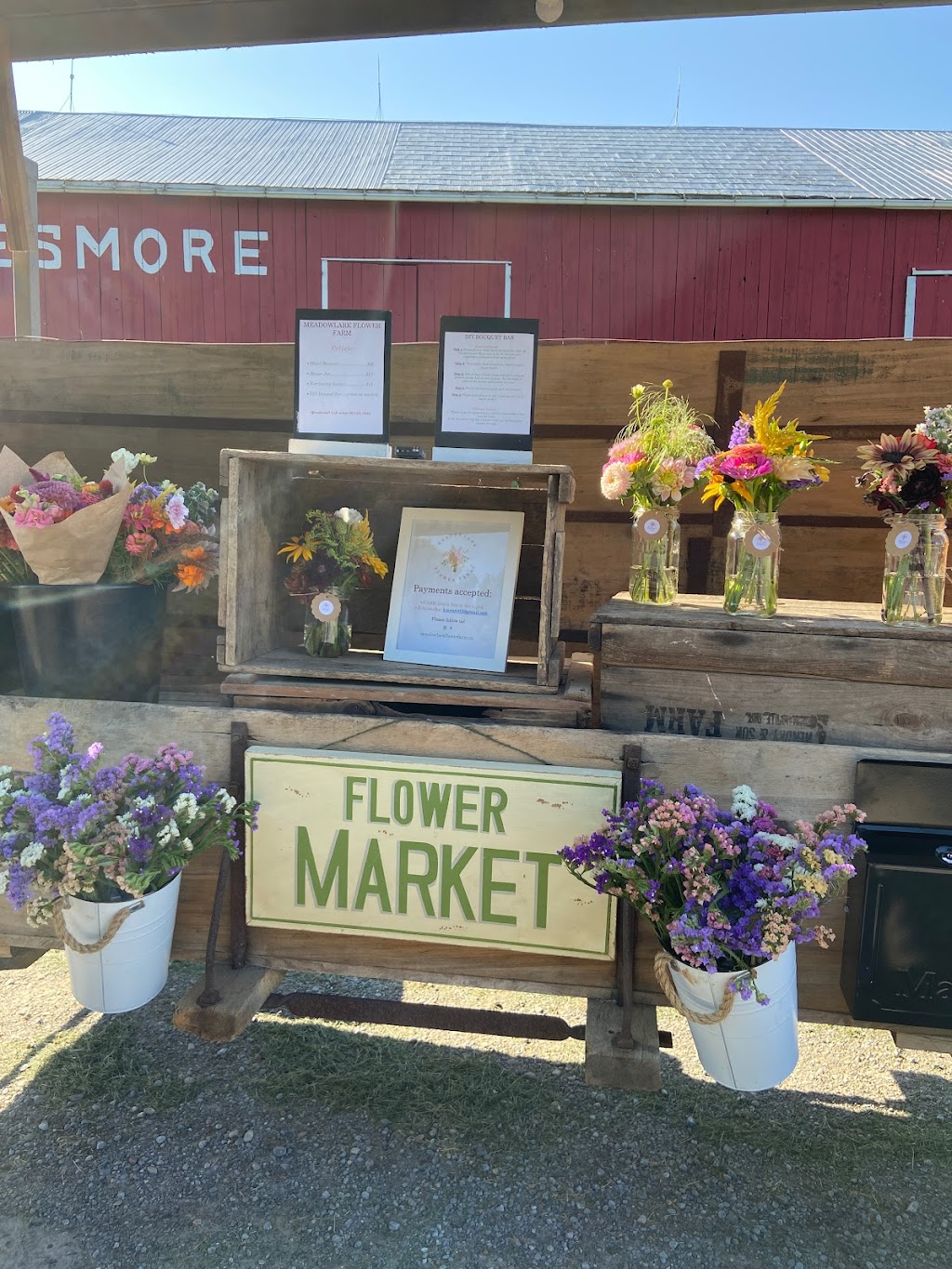 Meadowlark Flower Farm | 3059 Durham Regional Hwy 2, Clarington, ON L1C 3K5, Canada | Phone: (905) 431-6248