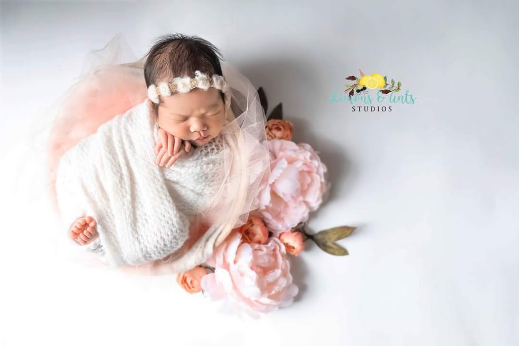 Lemons & Ants Studios | Dagmar Ave, Toronto, ON M4M 1W1, Canada | Phone: (647) 685-7415
