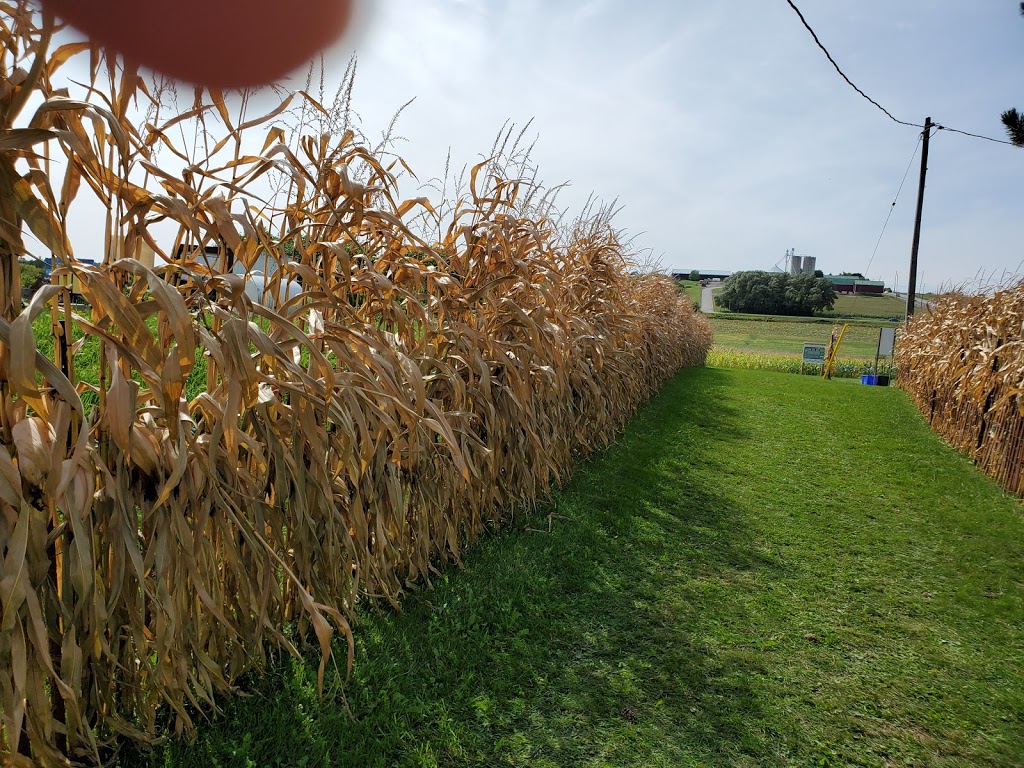 Pingles Farm Market | 1805 Taunton Rd, Hampton, ON L0B 1J0, Canada | Phone: (905) 725-6089