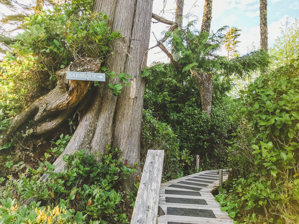 Adventure Awaits - Jami Savage, Family Travel Writer | 9067 Church St, Fort Langley, BC V1M 0E8, Canada | Phone: (604) 785-4074