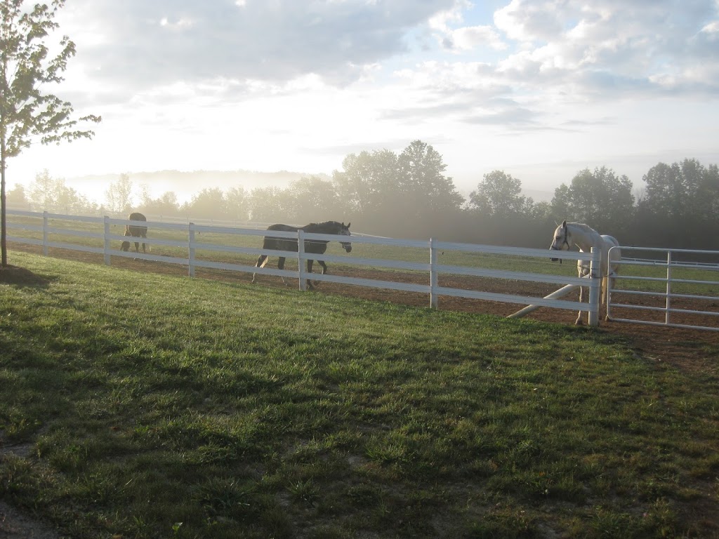 MacGregor Equestrian Farms Ltd. | 457272 8th Concession South, Chatsworth, ON N0H 1G0, Canada | Phone: (519) 794-0880