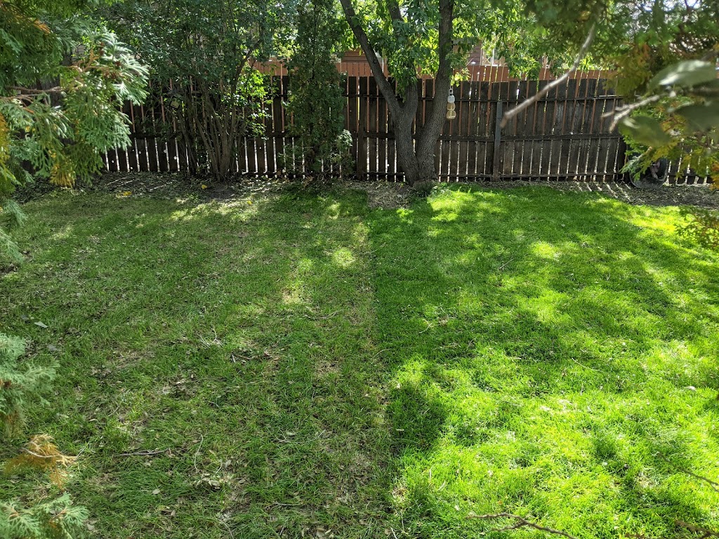 Shellview Sod Farms Ltd | Box 94, Shellbrook, SK S0J 2E0, Canada | Phone: (866) 399-3935