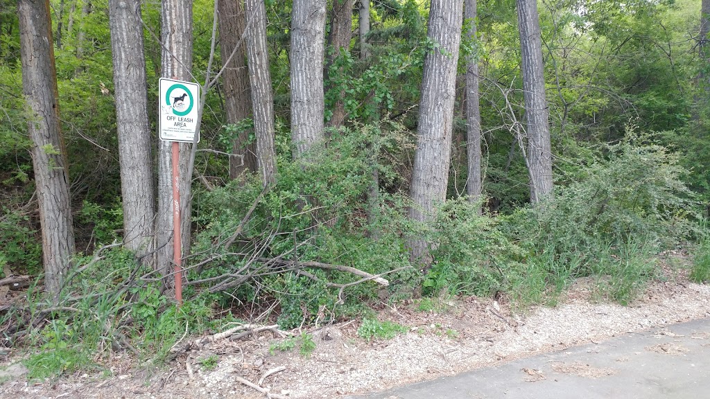 Britannia Off-leash Area | 4403 10 St SW, Calgary, AB T2S 1J4, Canada