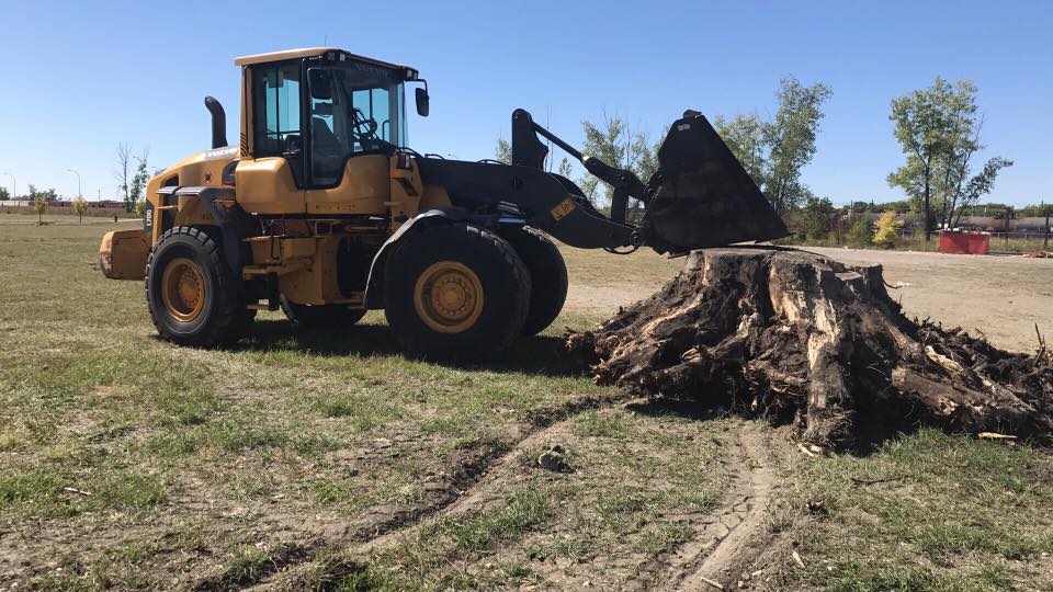 ASAP Tree & Stump Ltd | 130 Haarsma St, East Saint Paul, MB R2E 0M8, Canada | Phone: (204) 663-3889