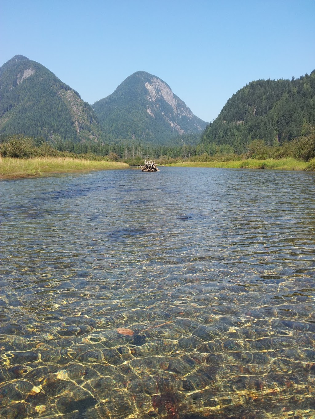 Widgeon Valley National Wildlife Area | Greater Vancouver A, BC, Canada