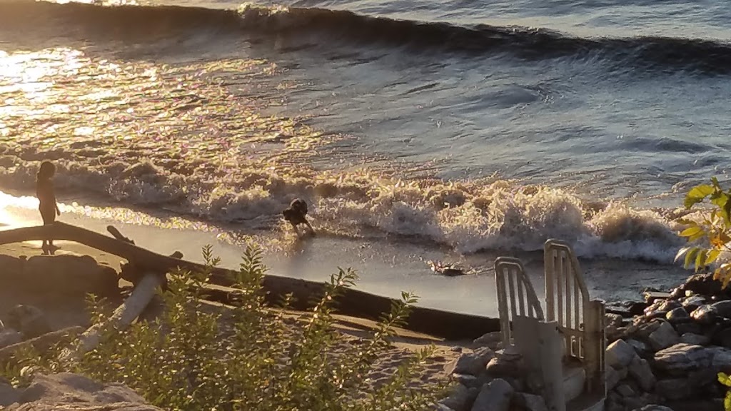 Lake Erie Seaway Trail Center | 4968 Lake Shore Rd, Hamburg, NY 14075, USA