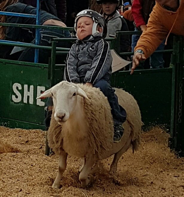 Lakedell Agricultural Society | Box 166, RR 2, Westerose, AB T0C 2V0, Canada | Phone: (780) 586-2505
