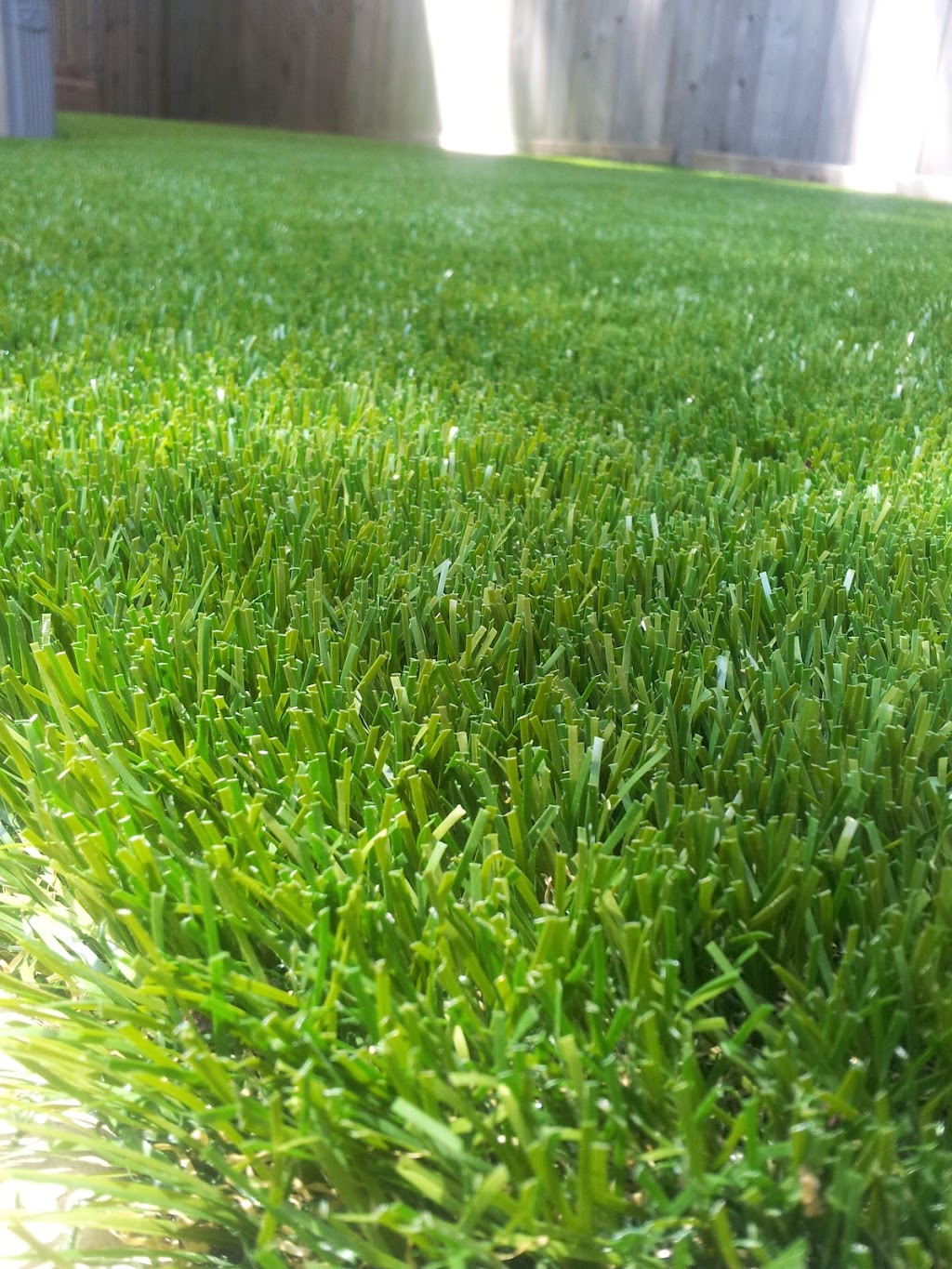 Rymar Synthetic Grass & Rubber Flooring Ottawa | 3238 Hawthorne Rd, Ottawa, ON K1G 3W9, Canada | Phone: (613) 733-9875