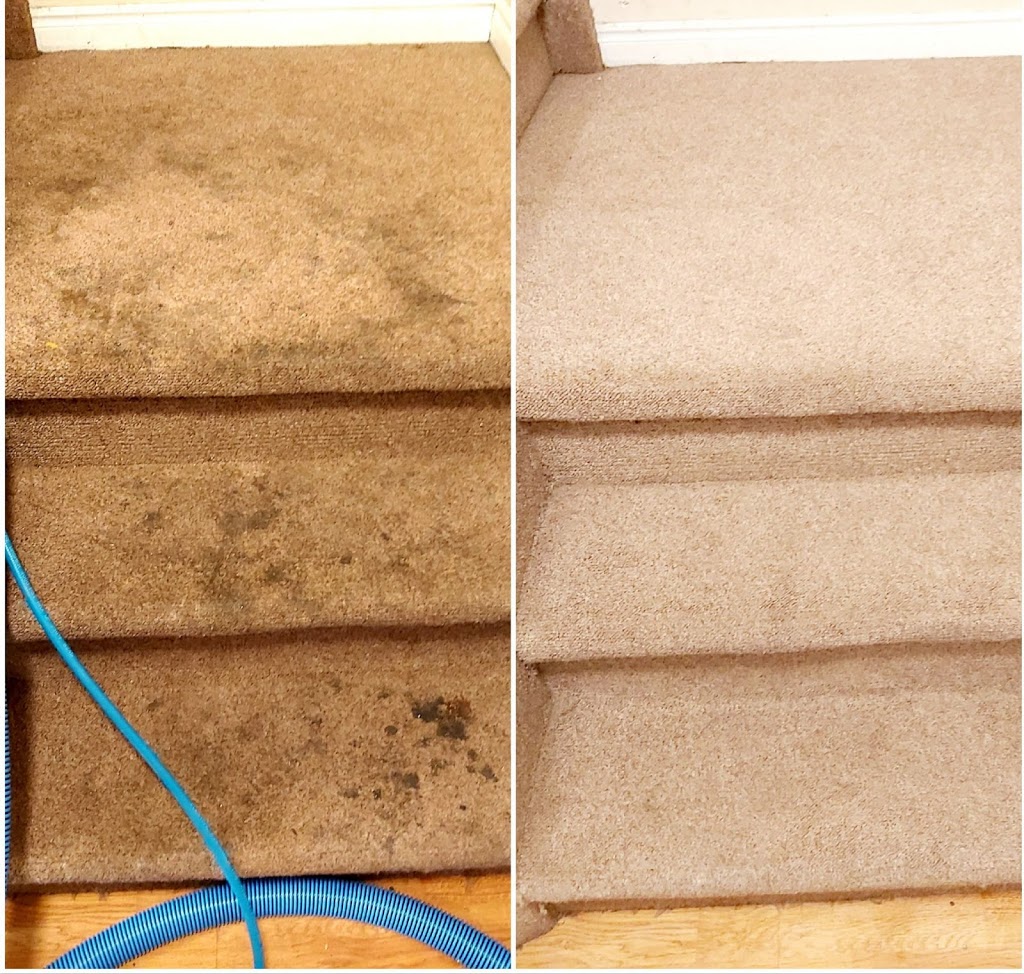 The Clean Queen | 46 Warner Ln, Brantford, ON N3T 0E7, Canada | Phone: (226) 802-5717