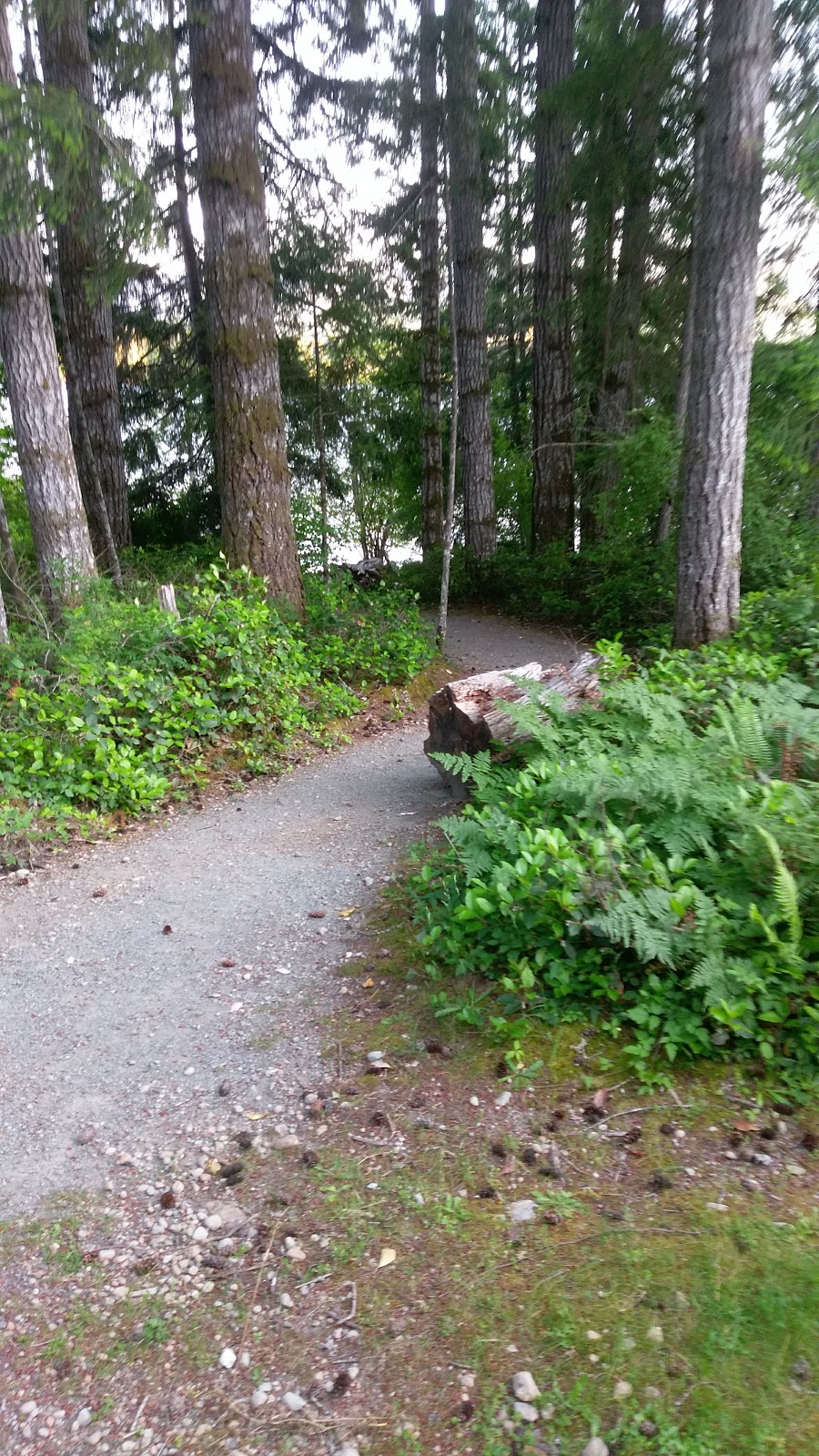 Mile 77 Park | Creekside Dr, Youbou, BC V0R 3E1, Canada | Phone: (250) 746-2620