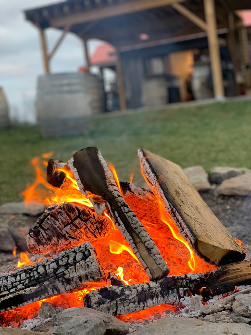 The County Somm | 48 Reddick St, Belleville, ON K8N 4Z1, Canada | Phone: (647) 687-0763