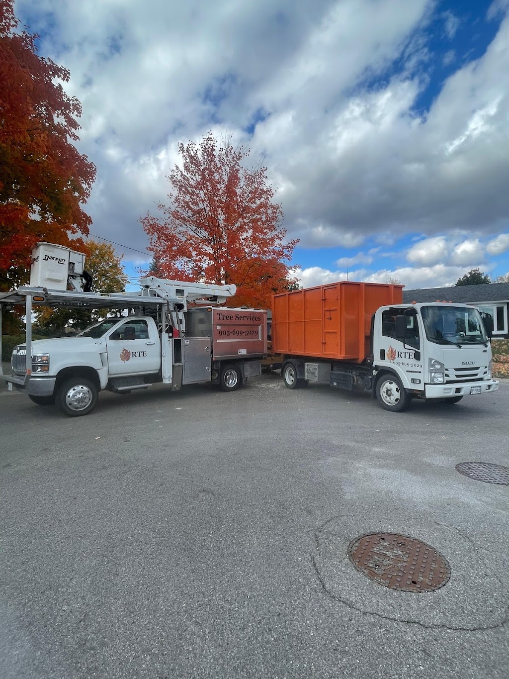 R. T. E. Tree Service | 1237 Concession 5 W, Waterdown, ON L8B 1L3, Canada | Phone: (905) 699-5029