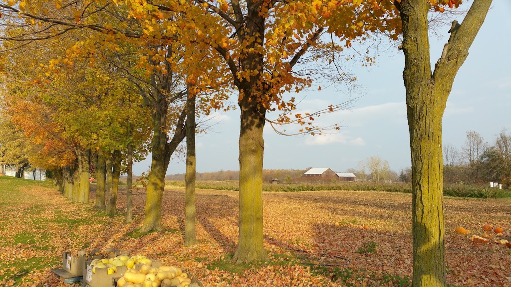 Uncle Scotts Farm | 6583 Walkers Line, Burlington, ON L7M 0R2, Canada | Phone: (905) 319-3298