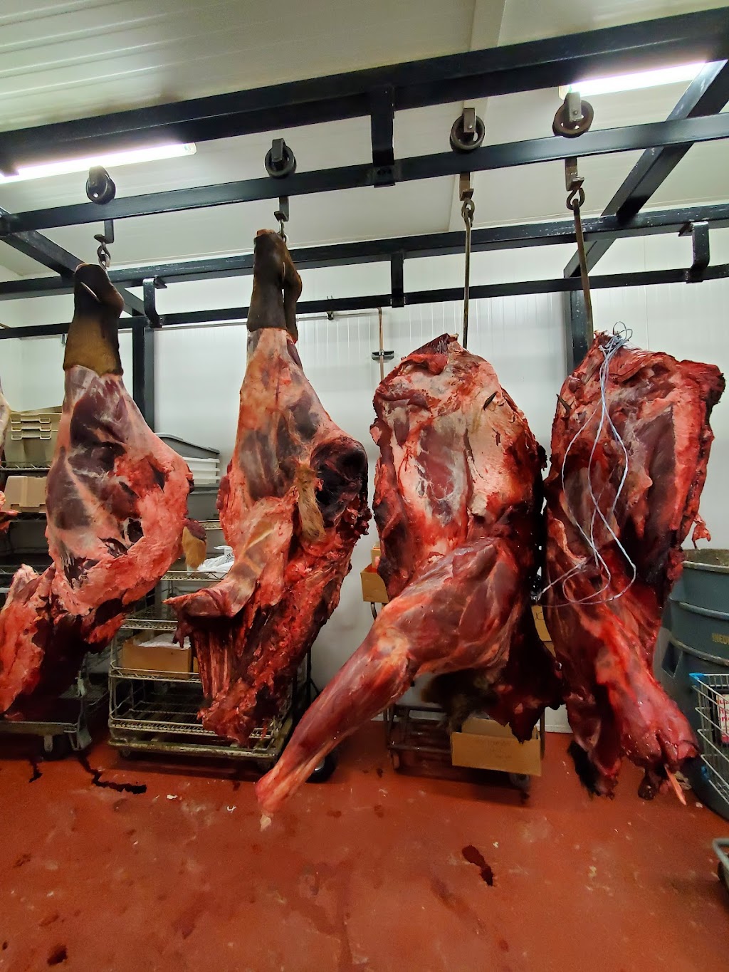 Iron Butcher Custom Inc. | 17935 Ford Detour Rd, Pitt Meadows, BC V3Y 0A7, Canada | Phone: (604) 460-6411