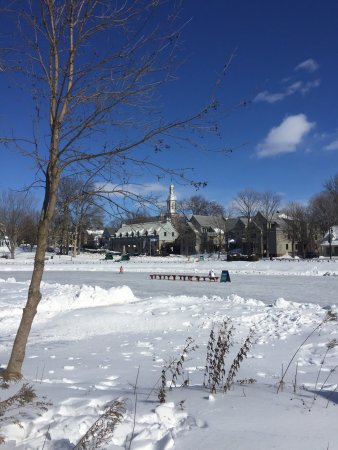 Lîle-Des-Moulins Library | 855 Place Ile des Moulins, Terrebonne, QC J6W 4N7, Canada | Phone: (450) 961-2001
