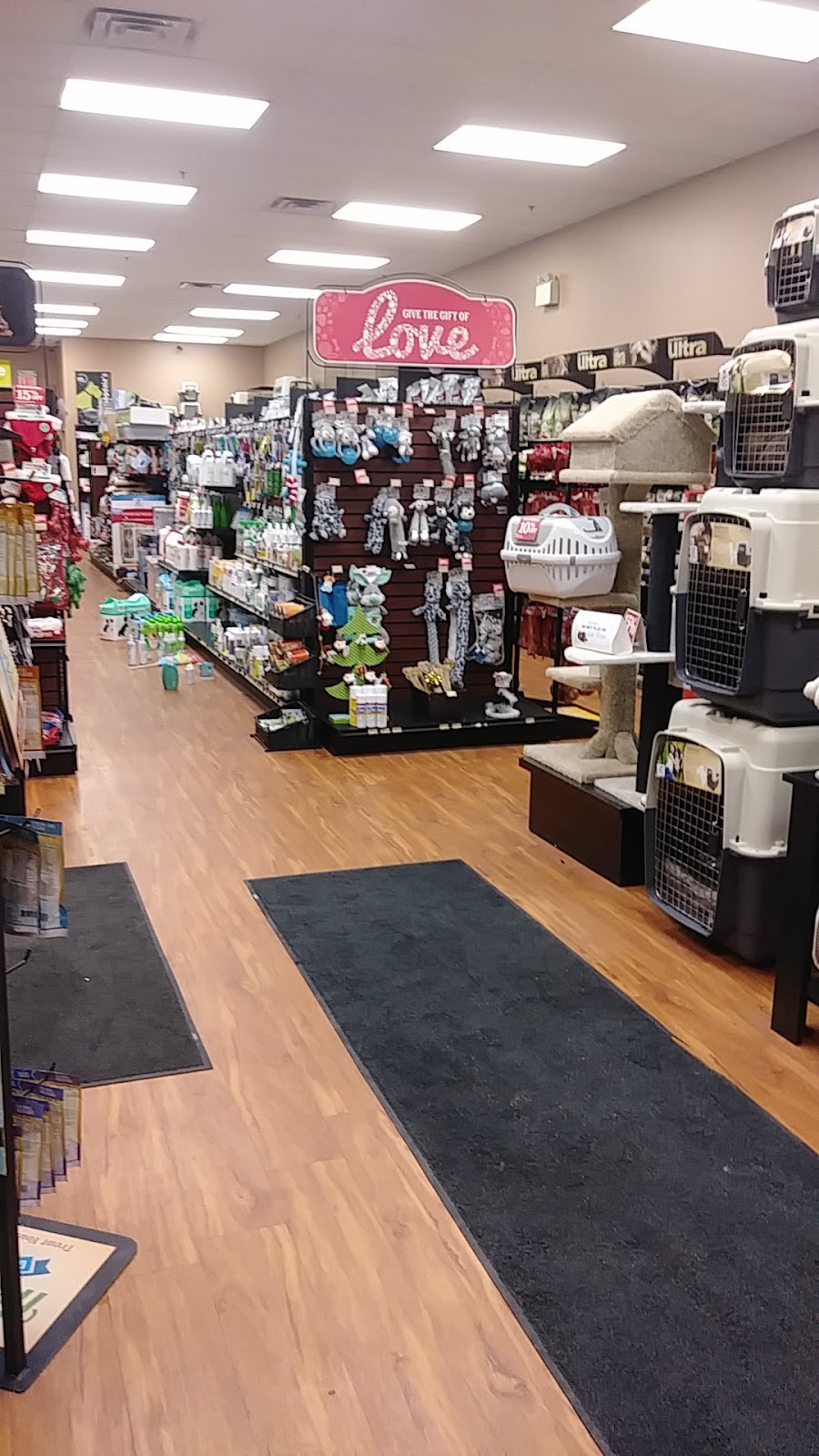 Pet Valu | 120 Thames St N, Ingersoll, ON N5C 4B1, Canada | Phone: (519) 425-1544