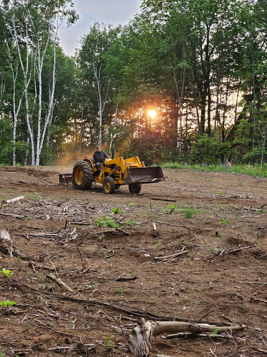 McCormick Maple Acres Ranch | 2885 Lower Faraday Rd, Coe Hill, ON K0L 1P0, Canada | Phone: (705) 313-3494