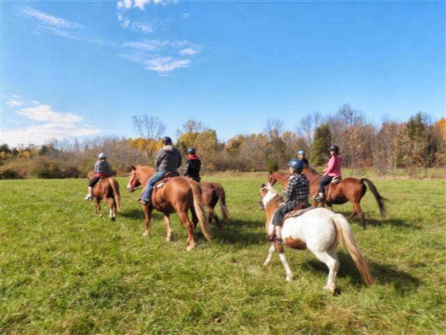 Horsin Around Riding Ranch | 445 Callaghan Rapids Rd, Marmora, ON K0K 2M0, Canada | Phone: (613) 849-2332