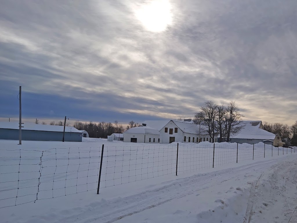 Aréna Régional De Huntingdon | 1567 Chem. Fairview, Huntingdon, QC J0S 1HO, Canada | Phone: (450) 264-5205