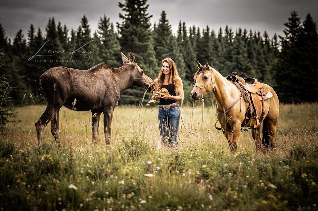 ProHorse | 30301, Range Rd 52, AB T0M 2E1, Canada | Phone: (587) 436-5572
