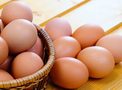 Sunnyside Farm | 625 Townline Rd, Whitby, ON L0B 1A0, Canada | Phone: (905) 655-4240