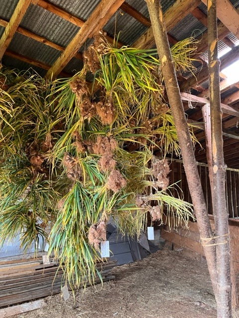 UpBack Farms | 2779 PE-19, Rocky Point, PE C0A 1H2, Canada | Phone: (613) 697-8666