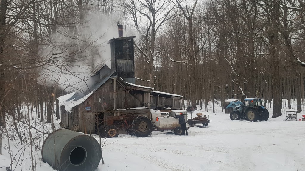Sarrasins Sugar Camp | Waterville, QC J0B 3H0, Canada