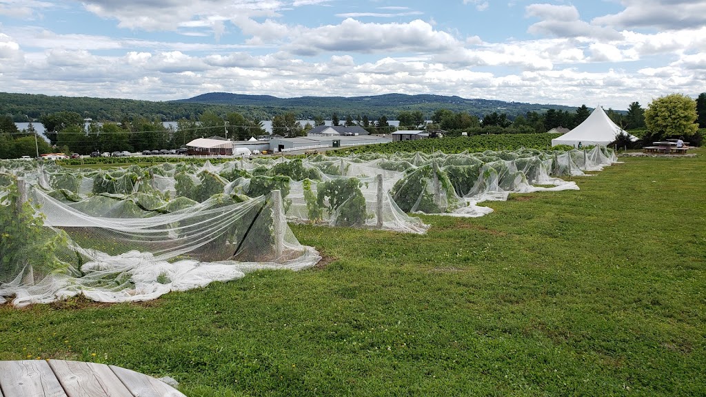 Vignoble Le Cep dArgent | 1257 Chem. de la Rivière, Magog, QC J1X 3W5, Canada | Phone: (819) 864-4441