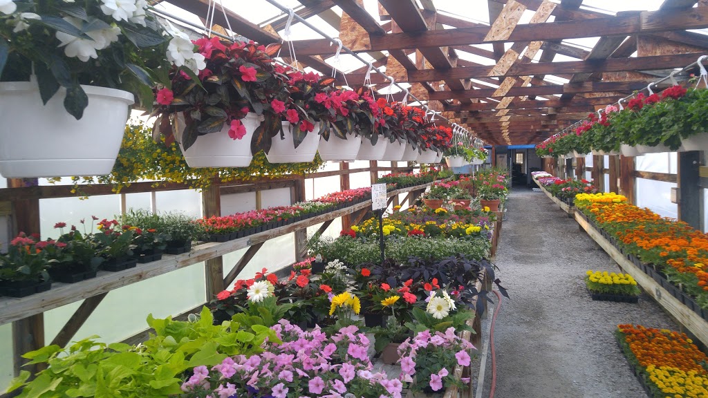 Sunrise Gardens | 3605 Lapeer Rd, Port Huron, MI 48060, USA | Phone: (810) 985-3531