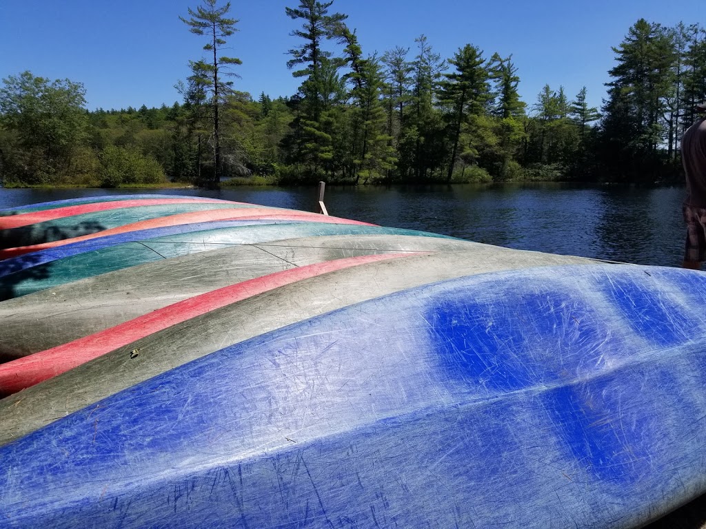 Bon Echo Provincial Park | 16151 ON-41, Cloyne, ON K0H 1K0, Canada | Phone: (613) 336-2228