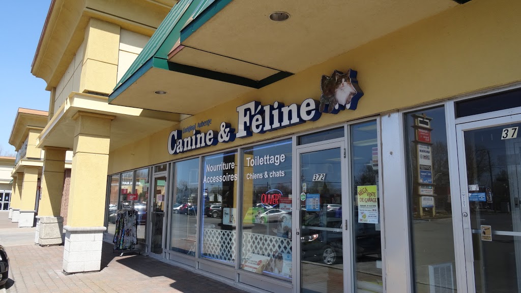 Auberge Canine Et Feline | 372 Chemin de la Grande-Côte, Boisbriand, QC J7G 1B1, Canada | Phone: (450) 437-1500