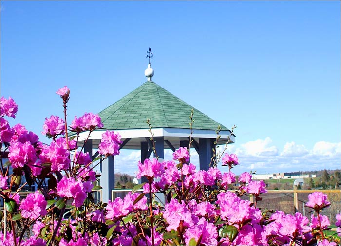 Nakile Home for Special Care | 35 Nakile Dr, Glenwood, NS B0W 1W0, Canada | Phone: (902) 643-2707