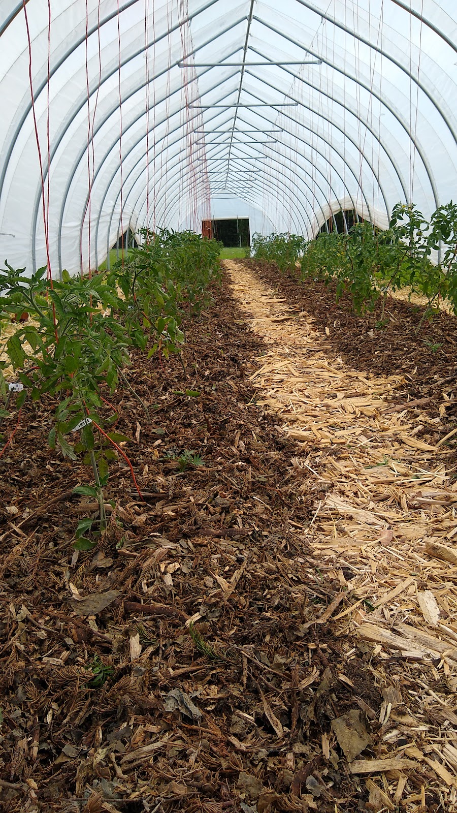 Ear to The Earth Farm | 31170 Range Road 52A #10, Site 2, RR 2, Sundre, AB T0M 1X0, Canada | Phone: (403) 907-4590