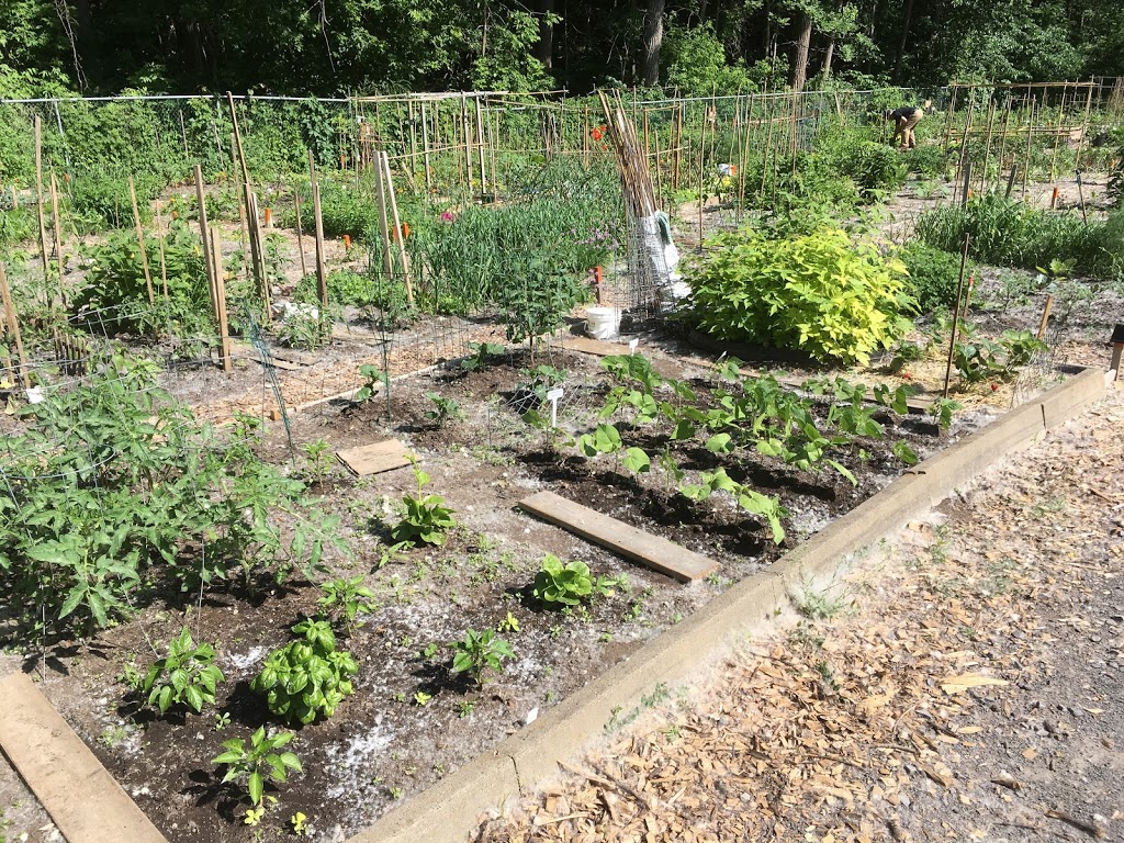 communautaire sault au récollet Garden | 10871 rie du, Montréal, QC H2B 2H3, Canada