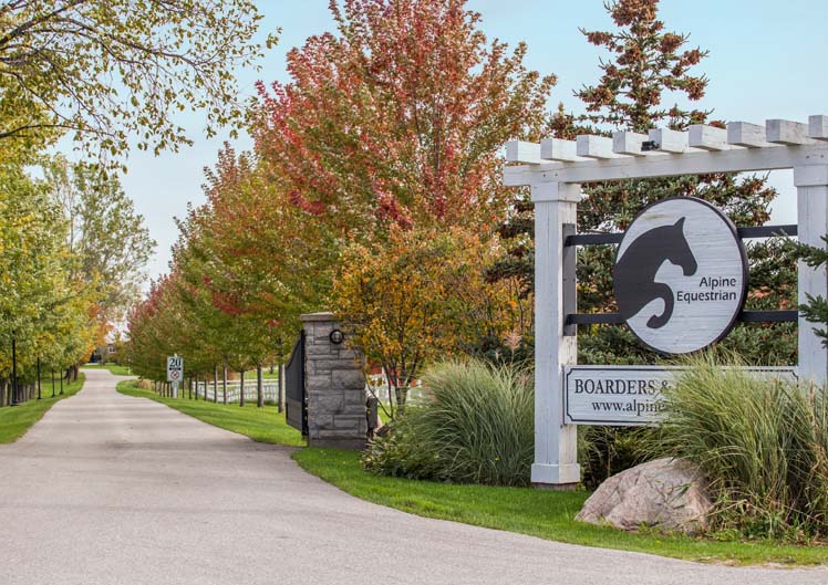Alpine Equestrian Centre | 795601 Osler Bluff Rd, Collingwood, ON L9Y 3Y9, Canada | Phone: (705) 293-0144