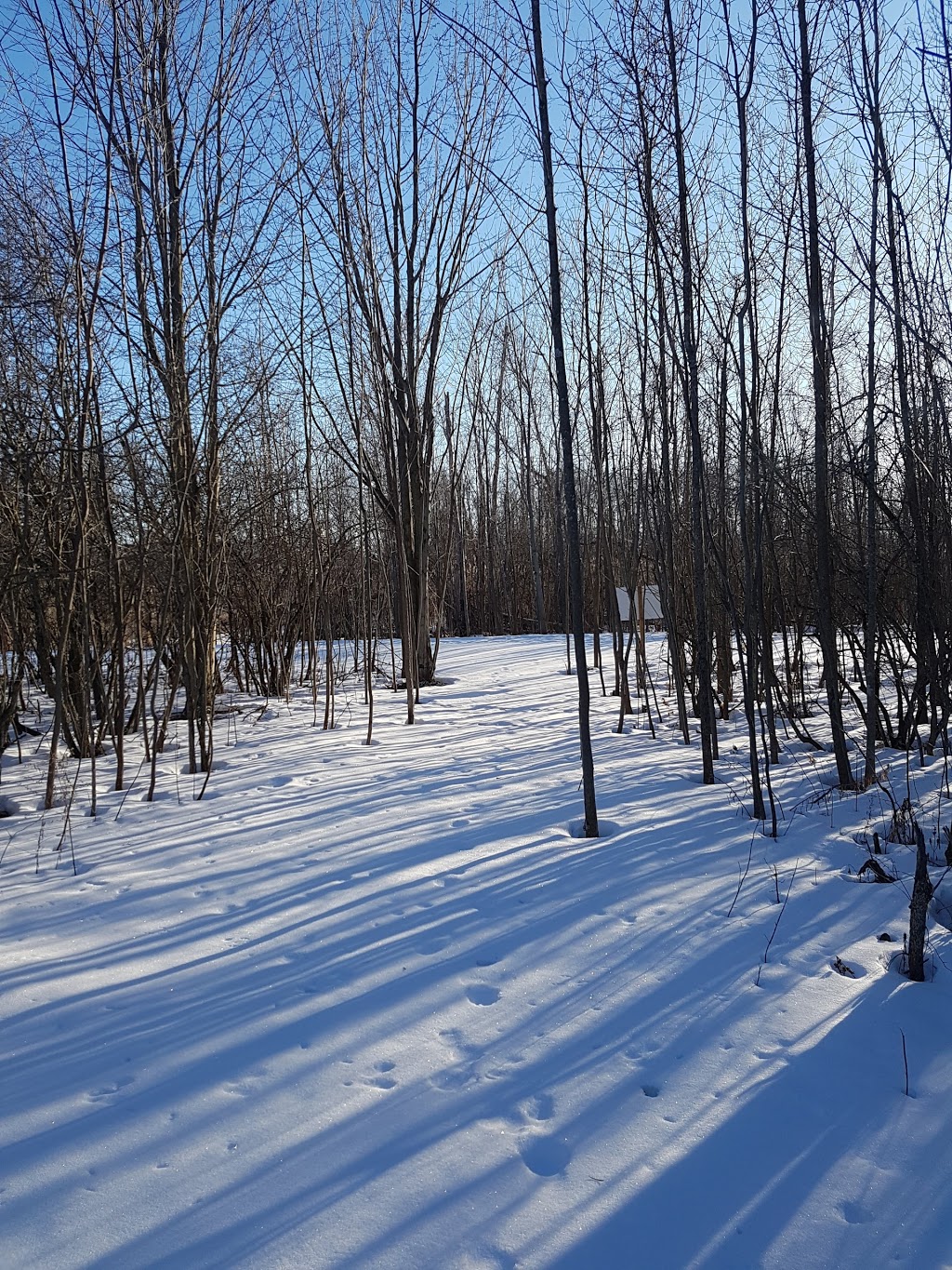 John Snake Memorial Multi-Purpose Community Grounds | 6002-6034 Rama Rd, Orillia, ON L3V 6H6, Canada | Phone: (705) 325-3611