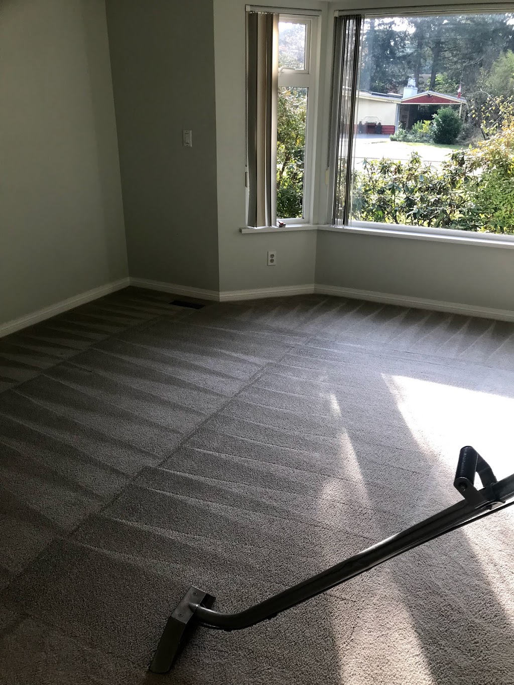 A1 Carpet And upholstery cleaning Surrey,Langley,Delta | 14435 Chartwell Dr, Surrey, BC V3S 5E3, Canada | Phone: (604) 442-6405