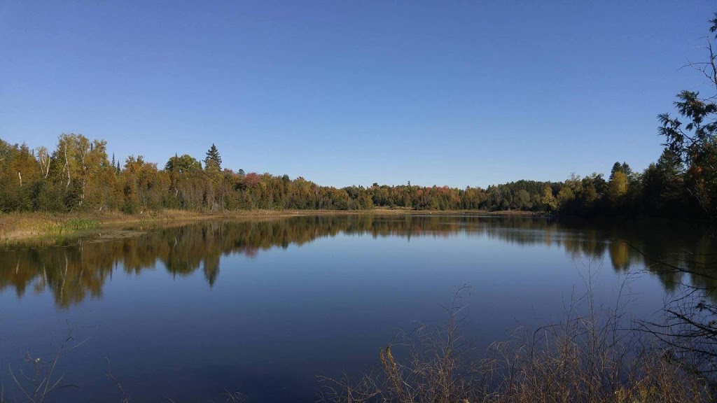 Goodwood Conservation Area | Cedar Valley, ON L0G 1E0, Canada