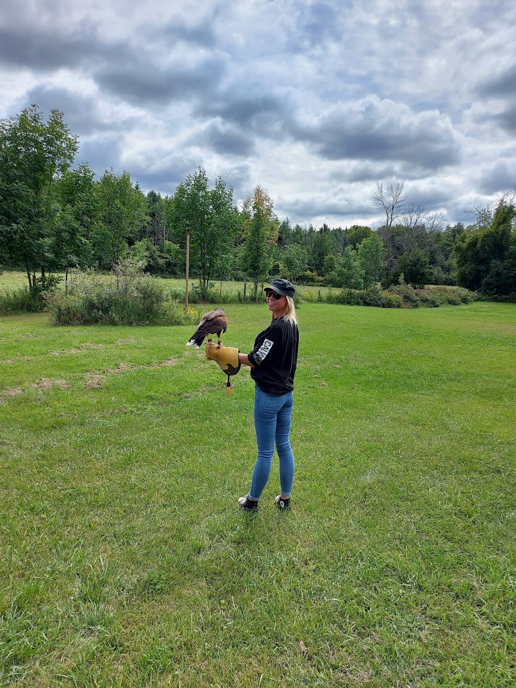 Hawkeye Bird and Animal Control & Falconry Experience Acton | 5048 erin, 1 Line, Acton, ON L7J 2L9, Canada | Phone: (416) 429-5393