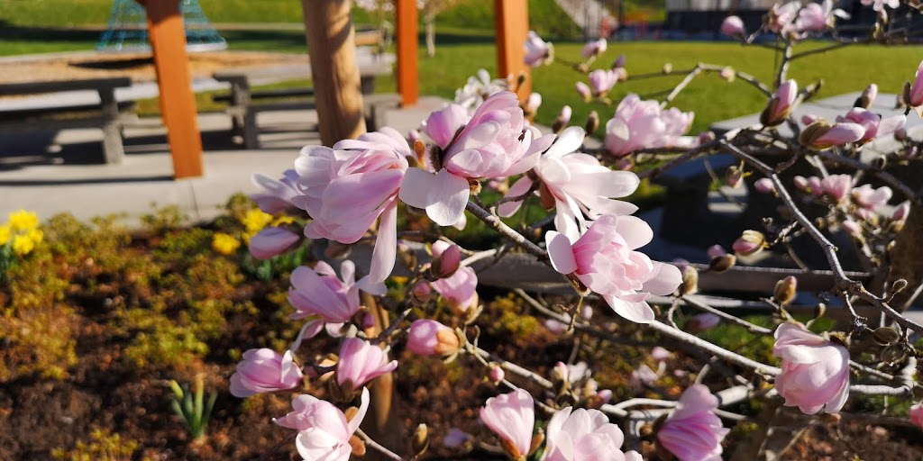 Mountain View Park | 751 Smith Ave, Coquitlam, BC V3J, Canada
