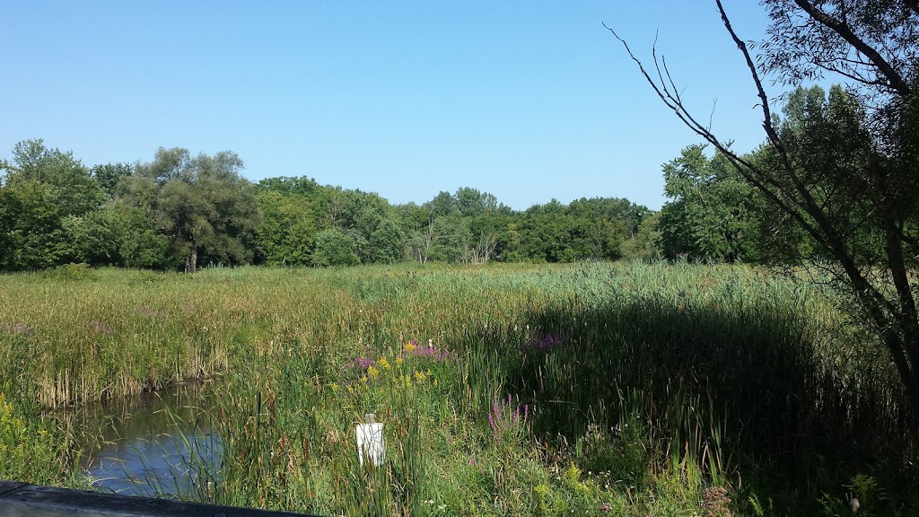 Cedar Valley Park | Markham, ON L3P, Canada