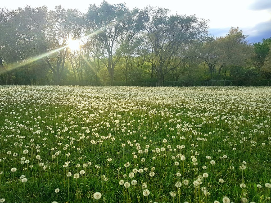 Notre Dame East Park | North St. Boniface, Winnipeg, MB R2J, Canada