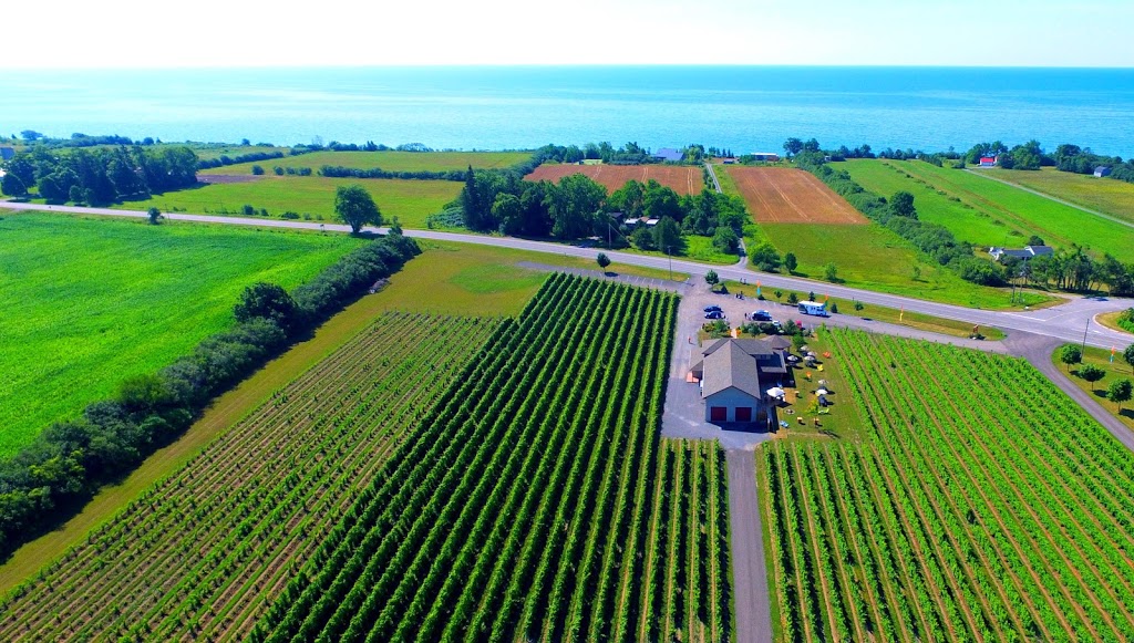Sandbanks Estate Winery | 17598 Loyalist Pkwy, Wellington, ON K0K 3L0, Canada | Phone: (613) 399-1839