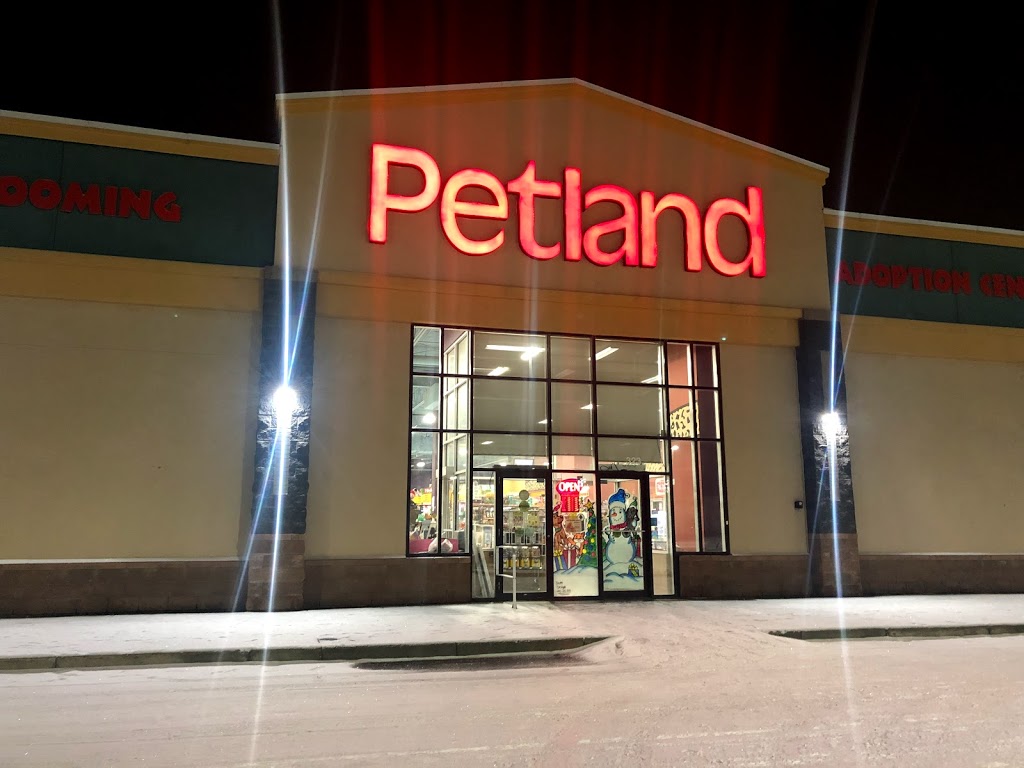 Petland | 130 Country Village Rd NE #323, Calgary, AB T3K 5Z2, Canada | Phone: (403) 226-4045