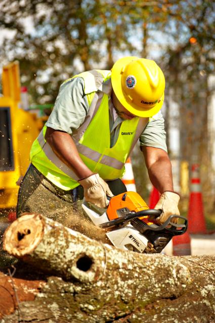 Davey Tree Expert Co. of Canada, Limited | 4063 Hampshire Mills Line, Orillia, ON L3V 6H3, Canada | Phone: (705) 327-1955