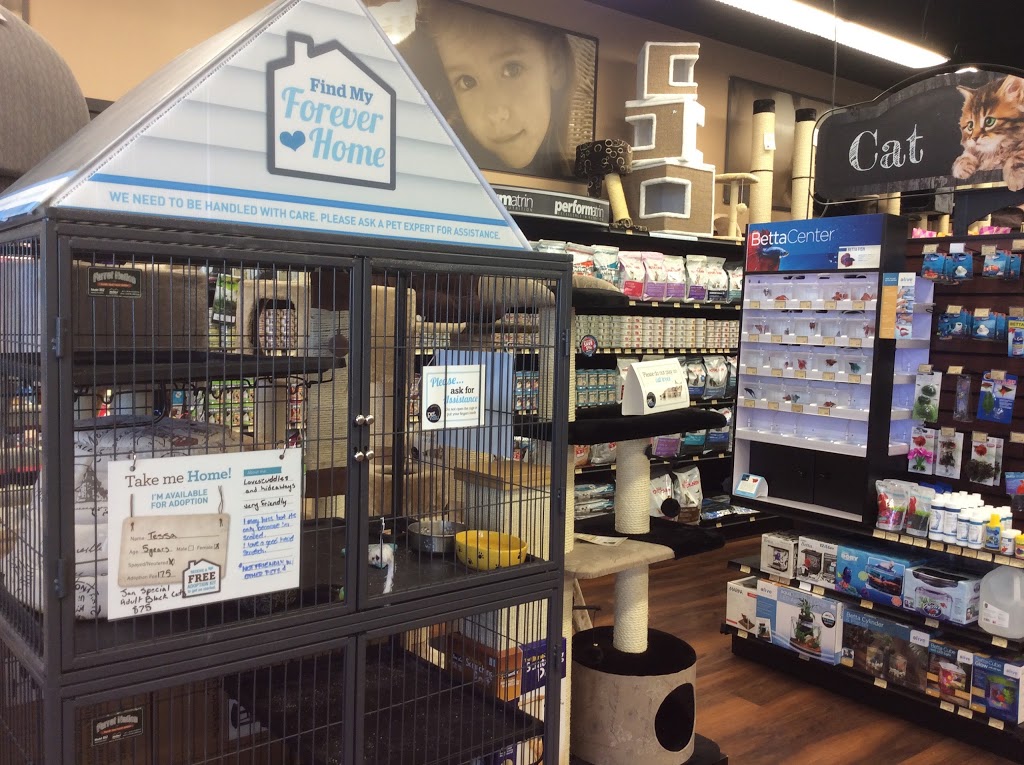 Pet Valu | 15 Sage Hill Plaza NW, Calgary, AB T3R 0S4, Canada | Phone: (587) 755-2252