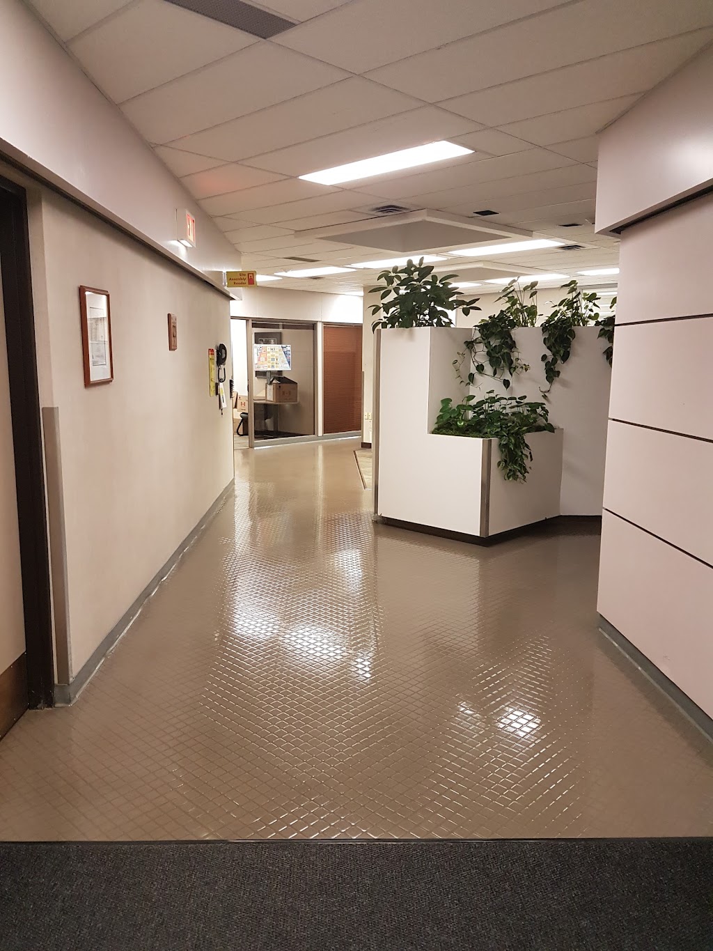 All Seasons Commercial Cleaning Ltd | 3115 43 Ave NW, Edmonton, AB T6T 1C7, Canada | Phone: (780) 200-0004