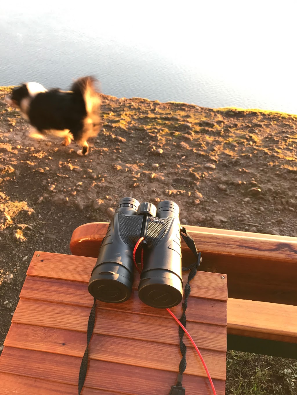 Oak Bluffs Park | Pender Island, BC V0N 2M2, Canada
