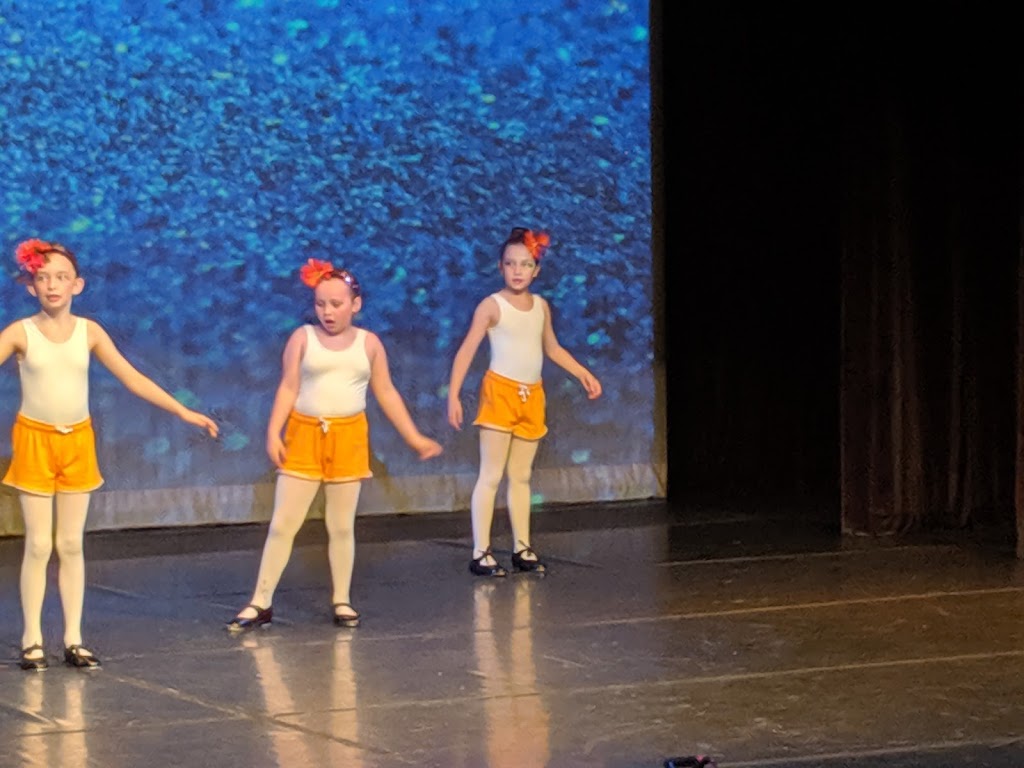 Rene M Caisse Theatre | 100 Clearbrook Trail, Bracebridge, ON P1L 1W9, Canada | Phone: (705) 645-8400